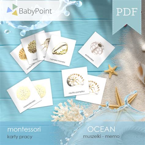 Ocean Muszelki Karty Edukacyjne Memo Babypoint