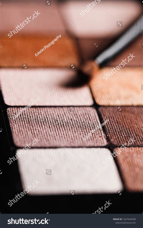 Set Nude Mineral Eyeshadow Palette Satin Stock Photo Shutterstock