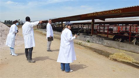 Acredita La Fes Cuautitl N Licenciatura De Medicina Veterinaria Y