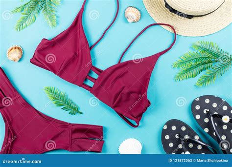 Fondo De Las Vacaciones De Verano Concepto Tropical Del Verano Con El Bikini Las Hojas Y Las