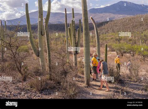 Turistas Que Visitan Cactus En La Reserva De La Biosfera De Tehuacan Cuicatlán Patrimonio De La