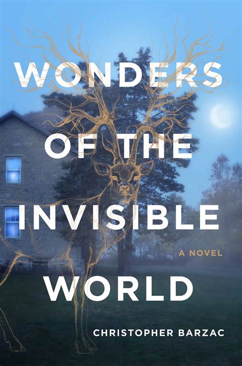 The Wonders Of The Invisible World 2