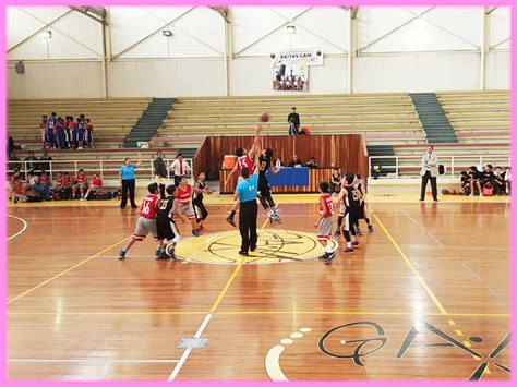 Descubrir Imagen Canchas De Basquetbol Techadas Abzlocal Mx