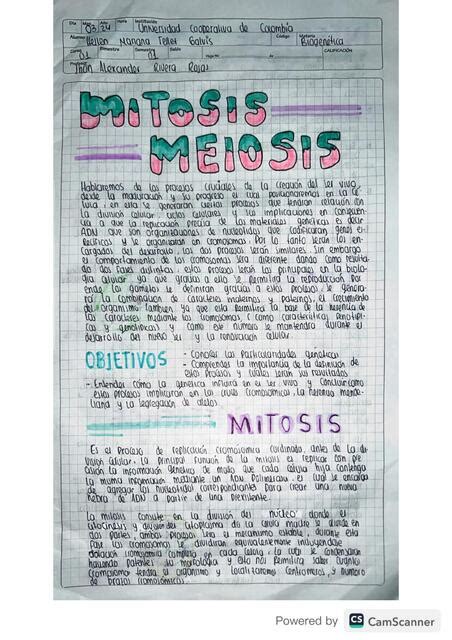 Mitosis Meiosis Hellen Tellez Udocz