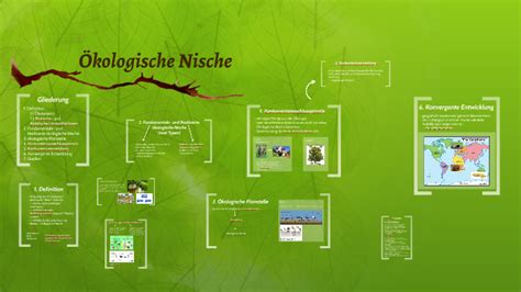 Kologische Nische By Shalin Schob On Prezi