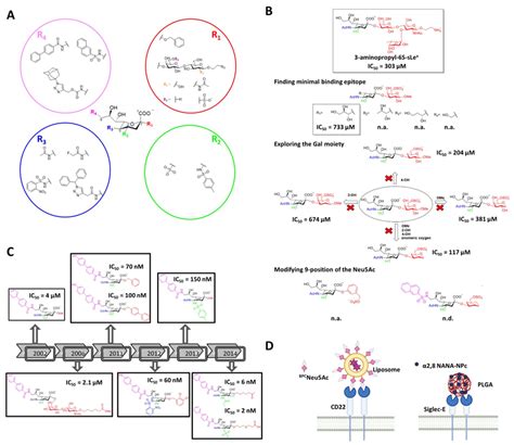 Modified Glycan Ligands Targeting Siglecs A General Structure Of Download Scientific Diagram