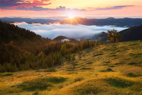 Hutan Langit Matahari Cahaya Pegunungan Kabut Pagi Wallpaper HD