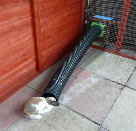 How Safe Is The Runaround System Page Rabbits United Forum