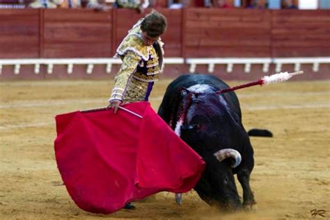 Sergio Salas El Pijorro Novillada Con Picadores De El Puerto De