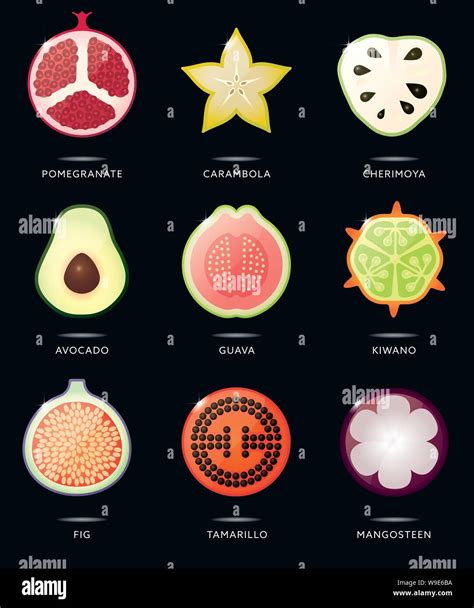 Fruit Cross Section Vector Illustration Set Of Glossy Tropical Fruit