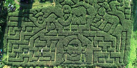 Explore a Cornfield Maze - Wright Family Farm