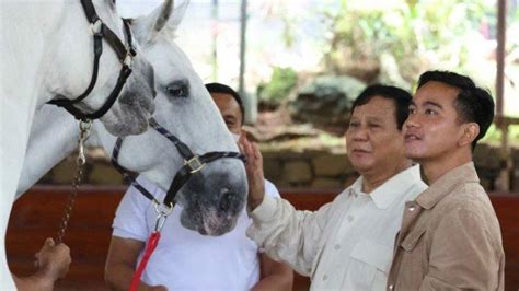 Berita Terkini Pilpres 2024 Cawapres Prabowo Subianto Mengerucut Pada