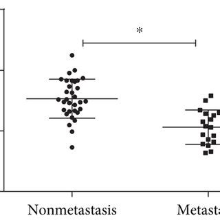 Clinical Value Of Mir P In Glioma A Mir P Expression In