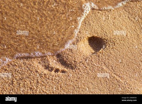 Textura Del Fondo Huellas De Los Pies En La Arena Cerca Del Agua En