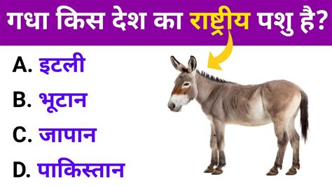 गधा किस देश का राष्ट्रीय पशु है Gk Question Gk Question And Answer