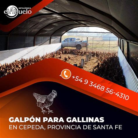 Galpón para Gallinas Felices Agroads