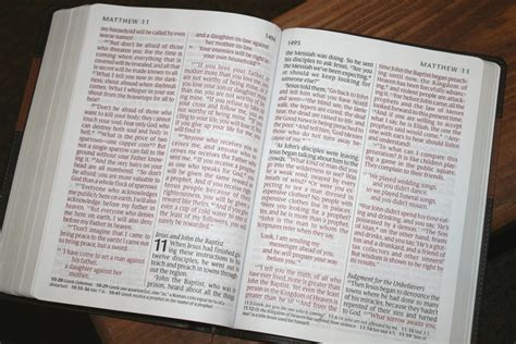 Tyndales Giant Print Nlt Bible Review Bible Buying Guide