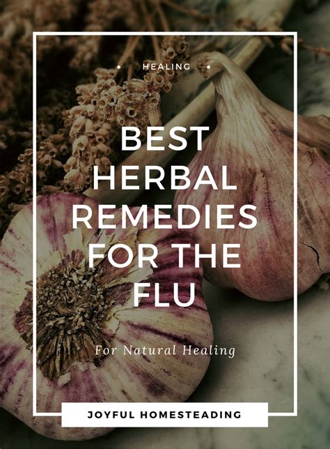 Herbal Remedies for Flu