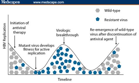 Understanding Resistance In Hepatitis B Clinical Implications