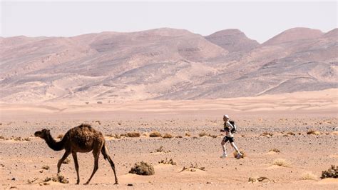 Marathon Des Sables Legendary Results Rachid El Morabity And