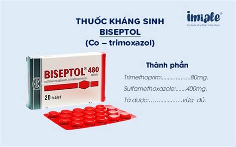 Thuốc đi ngoài Biseptol – Kết hợp kháng sinh hiệu quả