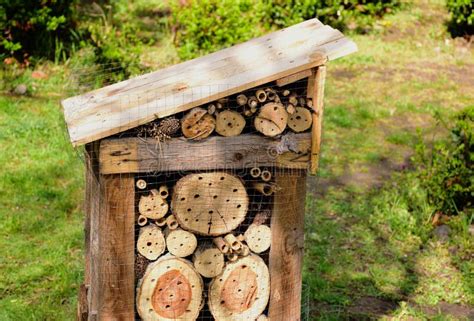 Insect Hotel Or Bug Hotel Closeup Detail Cut Dry Timber Pieces With