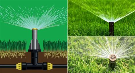 Sprinkler irrigation System: Types, advantages and disadvantages