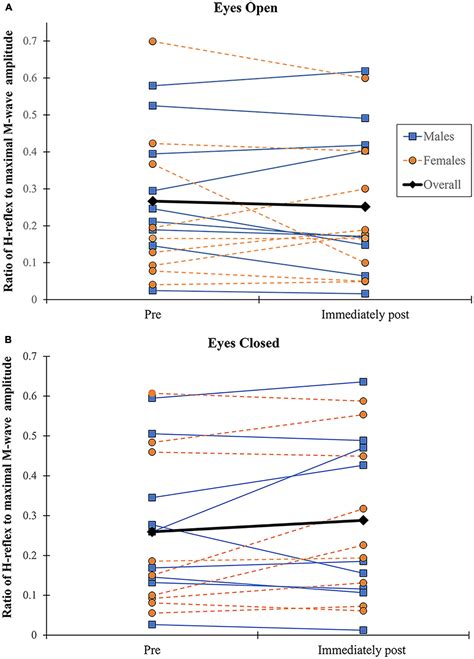 Frontiers Sex Differences Concerning The Effects Of Ankle Muscle