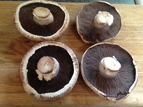 Portobello-Mushroom-Caps - O‘ahu Fresh