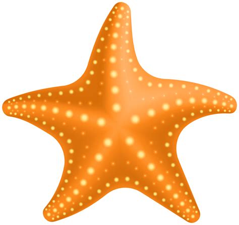 Starfish Clipart High Resolution Pictures On Cliparts Pub