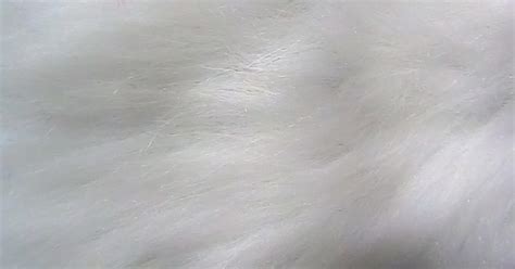 White Fur Texture Background by SweetSoulSister on DeviantArt