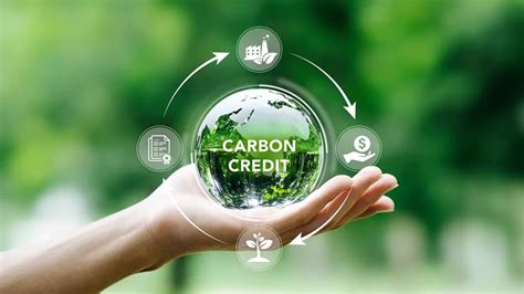 Malawi Earns K150m From Trading In Carbon Credit Nation Online