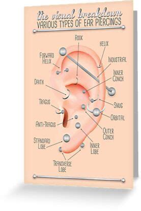 Ear Piercing Chart Greeting Card For Sale By Jarrod Vandenberg Ear