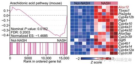 Gsea分析怎么用，看看这些用户文章你就知道！ 知乎