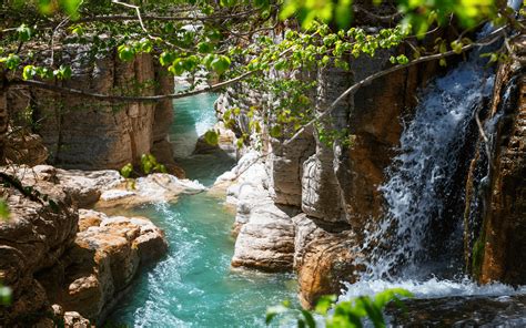 Martvili Canyon e pontes suspensas de Okatse de Kutaisi | musement