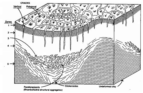 Figure Block Diagram Of A Gilgai Microrelief Nutty Structure