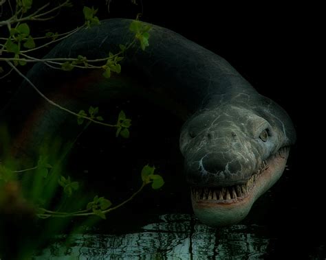 Free Nessie Stock Photo - FreeImages.com