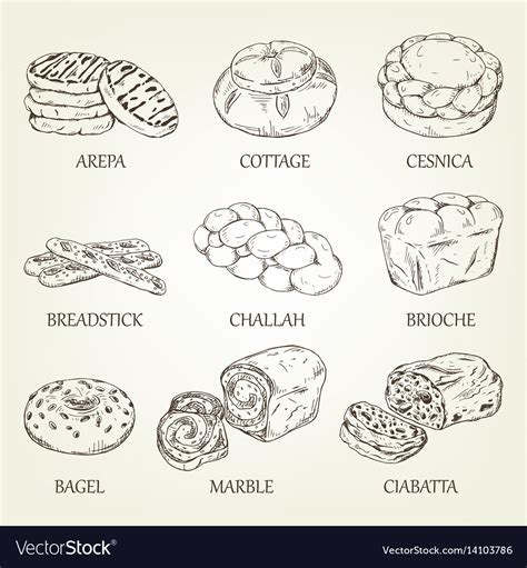 Hand Drawing Collection Of Bakery Products Vector Image