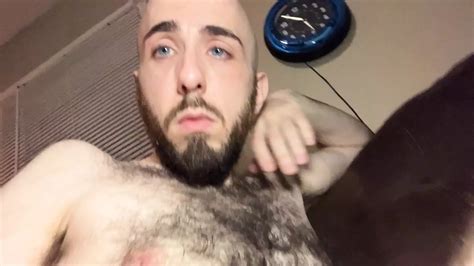 Blue Eyed Bald White Guy Gives A Quick And Quiet Tour Of My Very Hairy Torso Gay Porn Xhamster