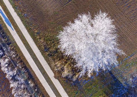 Winter Wonderland - ABC News