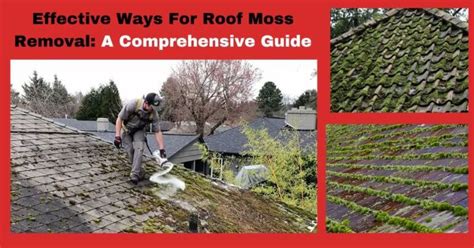 Effective Ways For Roof Moss Removal A Comprehensive Guide