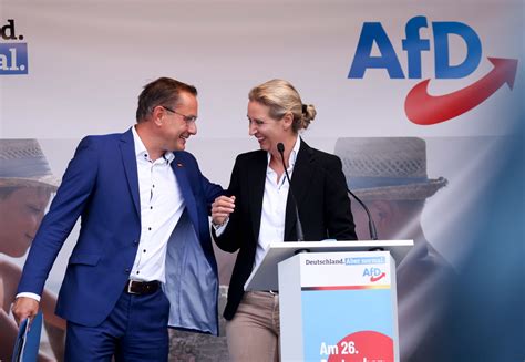 Umfrage zeigt Höhenflug der AfD geht weiter Oppositionspartei