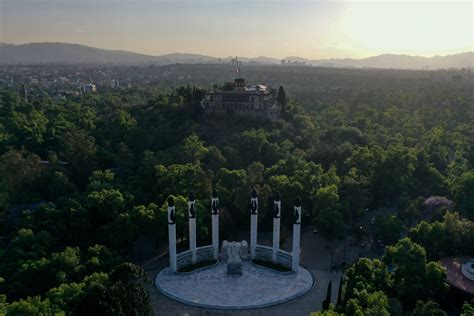 Qué Actividades Del Cervantino Podrán Disfrutarse En El Bosque De