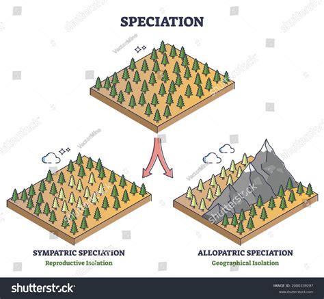 Speciation process with sympatric and allopatric - Royalty Free Stock ...