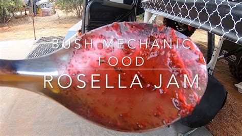 Bush Mechanic Food Rosella Jam Youtube