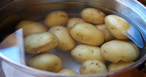 Tiempo De Cocci N De Las Patatas En Olla Express