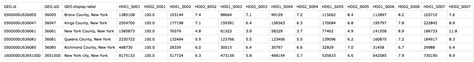 Visualizations and Geovisualizations: Population Summary of NYC – Information Visualization