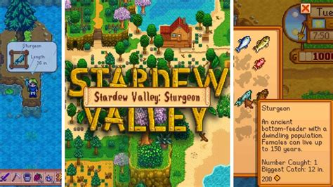 Stardew Valley: Complete Sturgeon Guide - VGKAMI