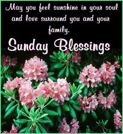 Sunday Blessings May You Feel Sunshine In Your Soul Pictures Photos