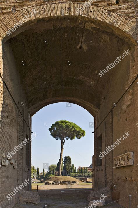 Emperors Palace Ruins On Palatine Hill Editorial Stock Photo - Stock ...